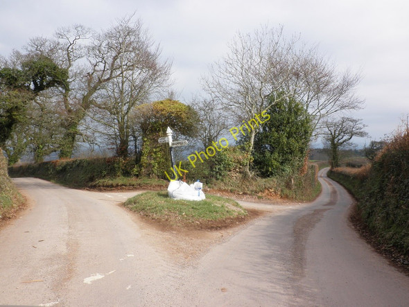 Photo 6"x4" Turning for Goathurst Clavelshay c2011