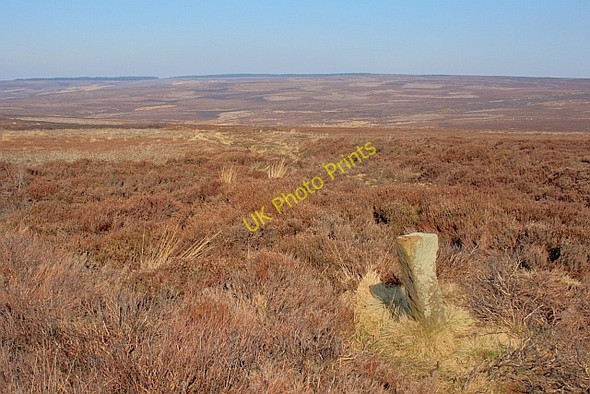 Photo 6"x4" Boundary Stone, Ingdale Ridge Heathwaite\/NZ4801 c2011 P1