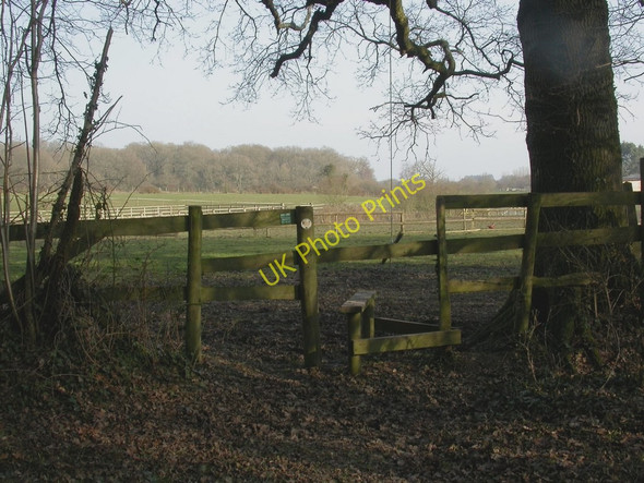 Photo 6"x4" Woodlands, footpath junction Sutton Holms c2011
