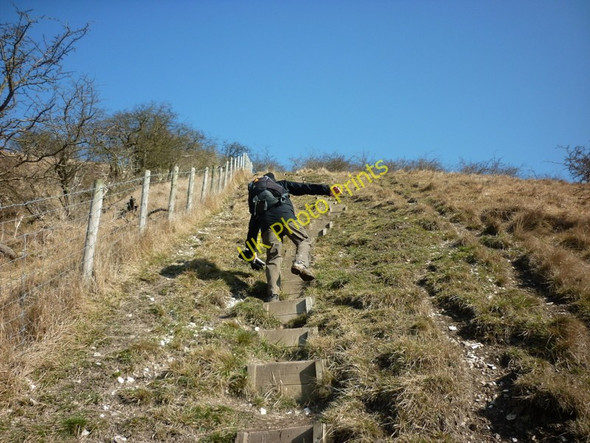 Photo 6"x4" Climbing up Sylvan Dale the hard way Millington c2011