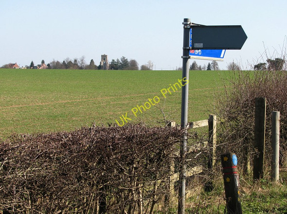 Photo 6"x4" The way to Stow-cum-Quy Teversham c2011