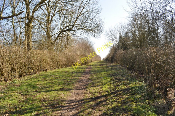 Photo 6"x4" Grand Union Canal - Tunnel Tow Path Bulwick c2011