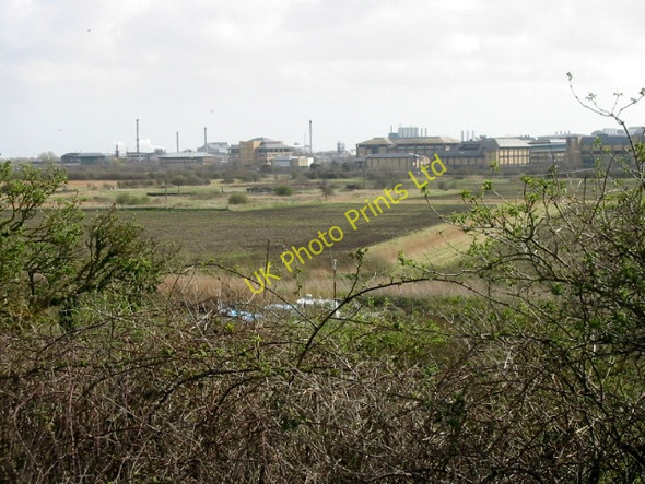 Photo 6"x4" Pfizer, the pharmaceutical company viewed from Richborough castle Sandwich c2008
