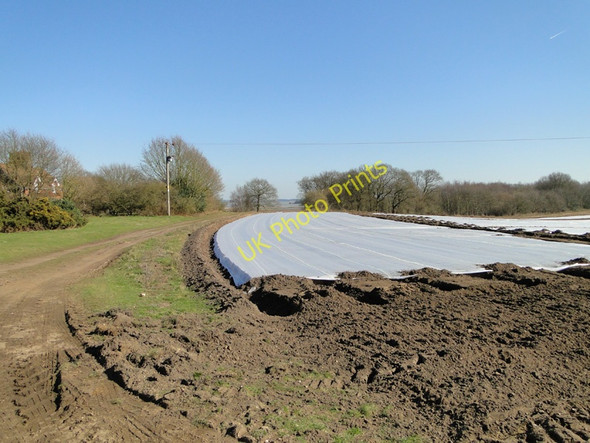 Photo 6"x4" Plastic protecting a newly planted potato crop Gromford c2011