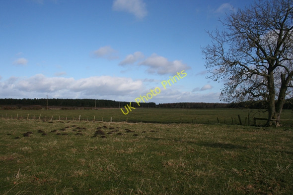 Photo 6"x4" Near Auchenhalrig Auchenhalrig c2011