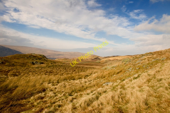 Photo 6"x4" Hillside above Guerness Wood Guerness Wood c2011