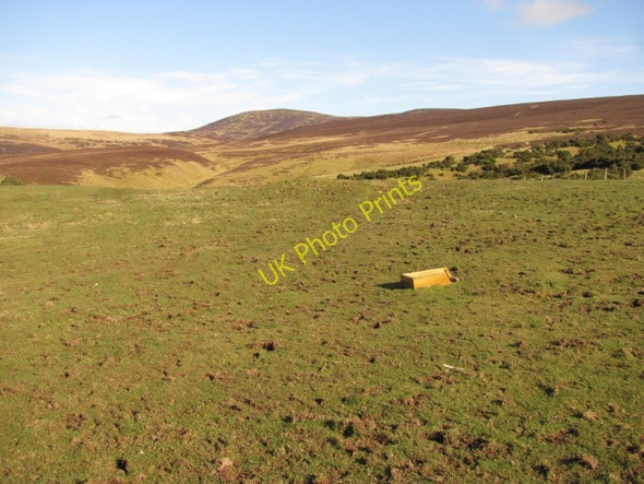 Photo 6"x4" Pasture and Black Mount Walston\/NT0545 c2011