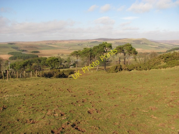 Photo 6"x4" Path between Elsrickle and Walston Walston\/NT0545 c2011