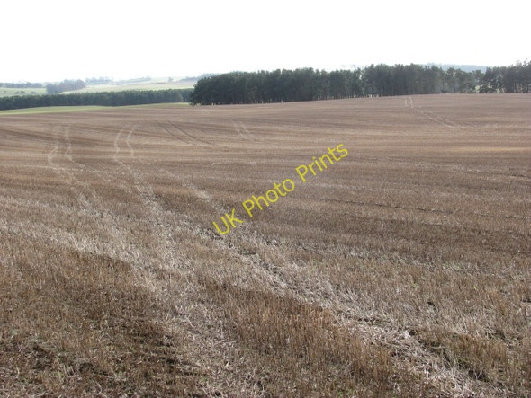 Photo 6"x4" Large field, Weston Walston\/NT0545 c2011