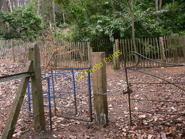 Photo 6"x4" New footpath? Bramley\/TQ0044 c2011