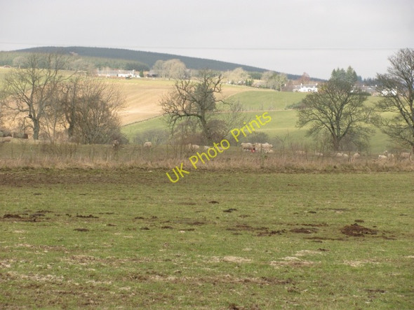 Photo 6"x4" Derry, Glen Isla Bridge of Craigisla c2011