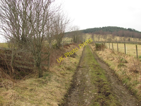 Photo 6"x4" Farm road, Dykehead Bridge of Craigisla c2011