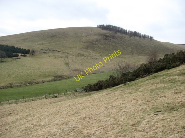 Photo 6"x4" Ardormie Hill Bridge of Craigisla c2011