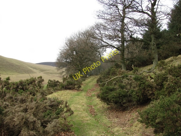 Photo 6"x4" Track up Balduff Hill Bridge of Craigisla c2011