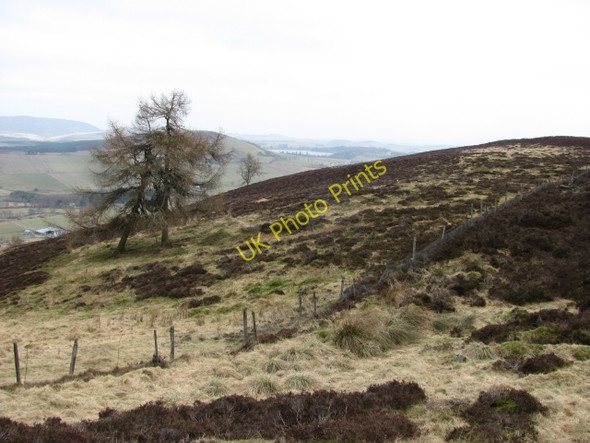 Photo 6"x4" Balduff Hill Bridge of Craigisla c2011