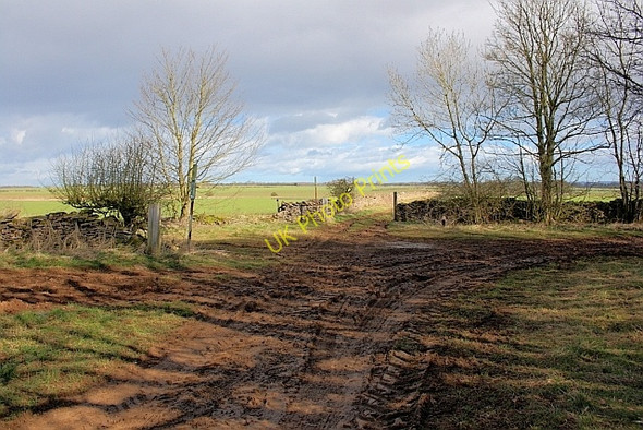 Photo 6"x4" Track Junction, Headon Plantation Sawdon\/SE9484 c2011