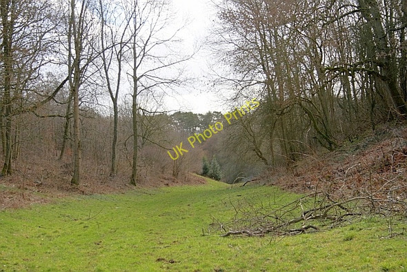 Photo 6"x4" Wy Dale Snainton c2011