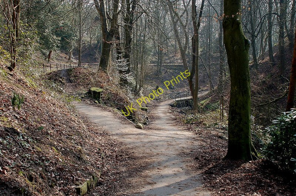 Photo 6"x4" Paths in Hall Lee Bank park, Westhoughton Westhoughton c2011