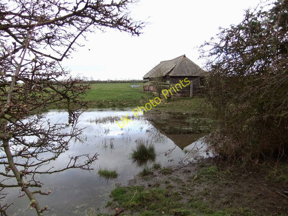 Photo 6"x4" Swigshole revisited High Halstow c2011