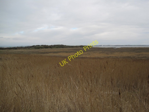 Photo 6"x4" Creepshaw Marsh, Walney Island Biggar\/SD1966 c2011