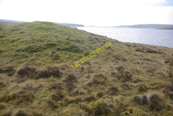 Photo 6"x4" Boncyn Arian Llyn Du\/SH9957 c2011
