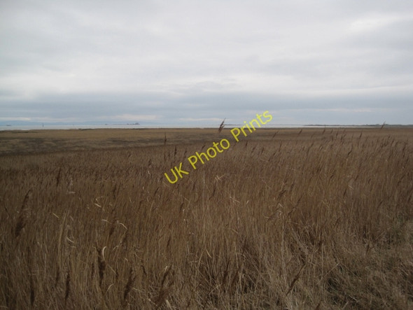 Photo 6"x4" Creepshaw Marsh, Walney Island Biggar\/SD1966 c2011