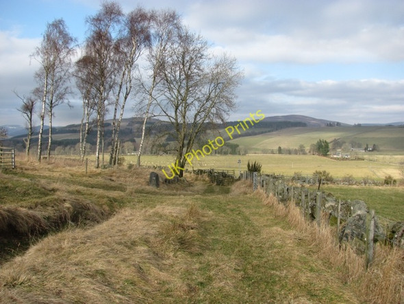 Photo 6"x4" Farm road, Dykehead Bridge of Craigisla c2011