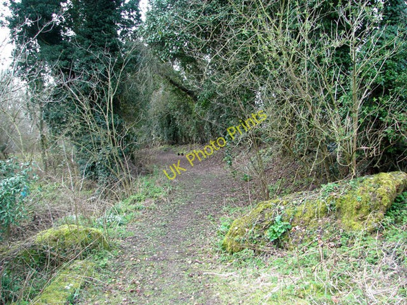 Photo 6"x4" Bridleway skirting Furze Hill, Tharston Low Tharston c2011