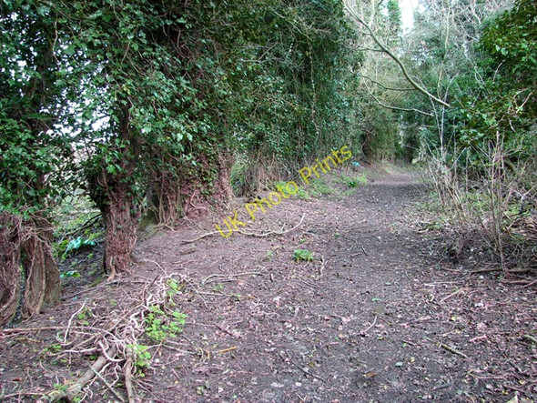 Photo 6"x4" Path on Furze Hill, Tharston Low Tharston c2011