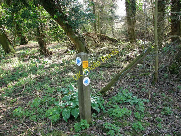 Photo 6"x4" Footpath marker on Furze Hill, Tharston Low Tharston c2011