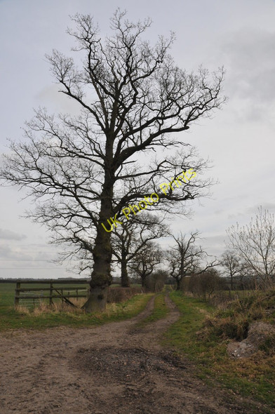 Photo 6"x4" Bridleway to Foster's Green Foster's Green c2011