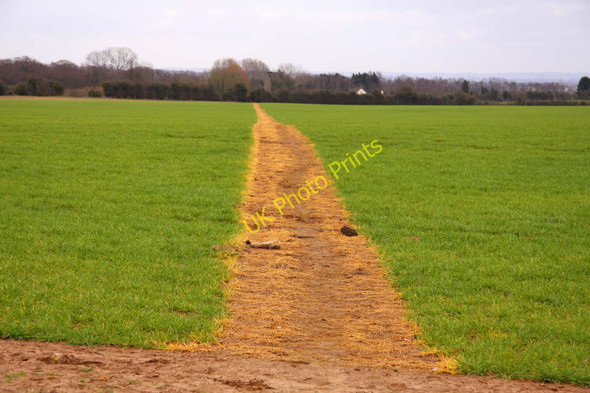 Photo 6"x4" Footpath to Gozzard's Ford Cothill\/SU4699 c2011