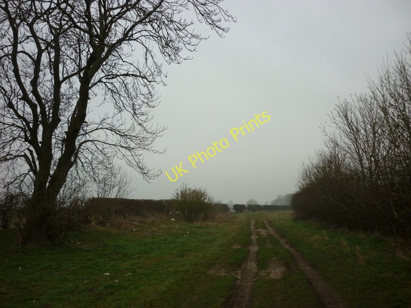 Photo 6"x4" A Green Lane to the south of Garton-on-the-Wolds Elmswell\/SE9958 c2011