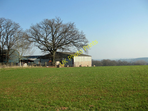 Photo 6"x4" Lambing time Beavan's Hill c2011