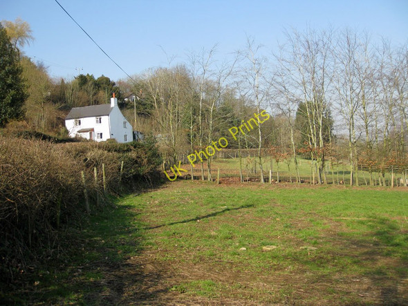 Photo 6"x4" Cottage on The Line Linton Hill\/SO6624 c2011