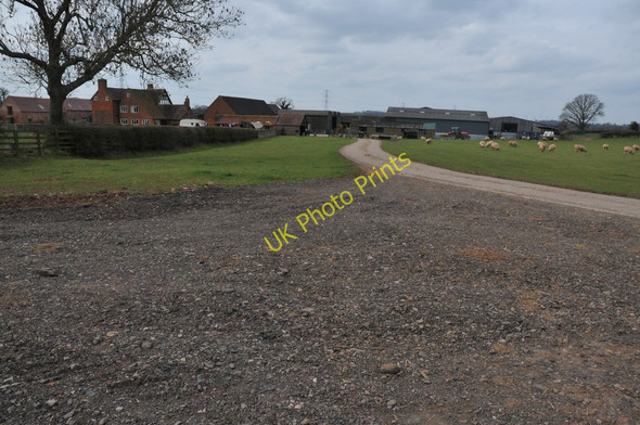 Photo 6"x4" Lower Berrow Farm Cruise Hill c2011
