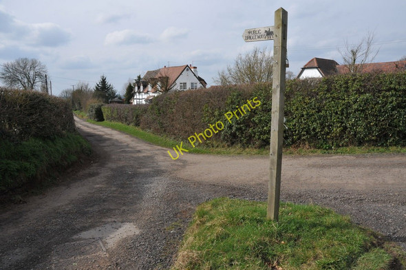 Photo 6"x4" Bridleway on Cruise Hill Cruise Hill c2011