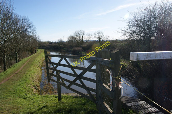 Photo 6"x4" Bridgwater and Taunton Canal Outwood\/ST3028 c2011