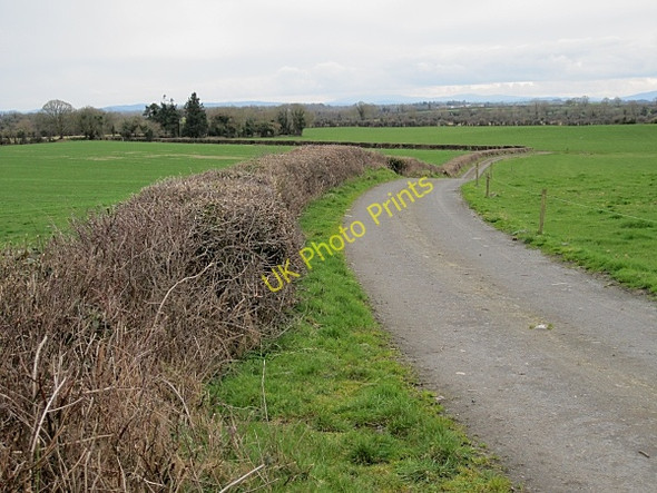 Photo 6"x4" Hedgerow and Fields Castlewarren c2011