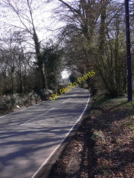 Photo 6"x4" Looking south on Priorsfield Road Compton\/SU9546 c2011