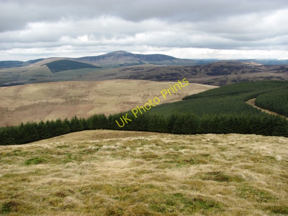 Photo 6"x4" Forest, Tewsgill Hill Wandel Dyke c2011