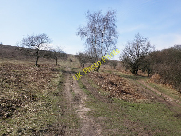 Photo 6"x4" Limestone Link Blagdon\/ST5058 c2011