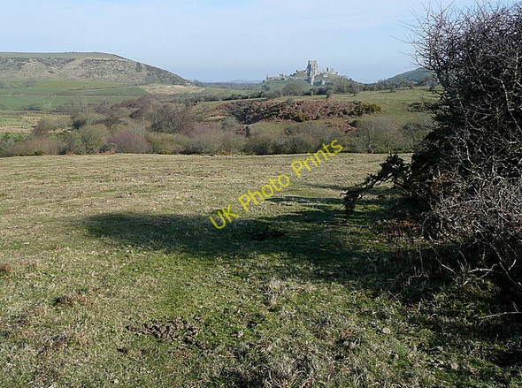 Photo 6"x4" The castle from the common Corfe Castle c2011