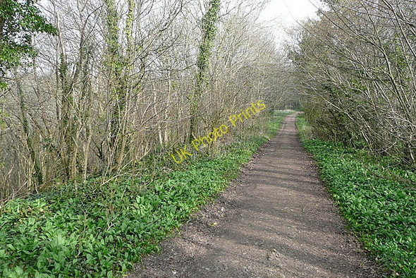 Photo 6"x4" Footpath to Kingston Kingston\/SY9579 c2011