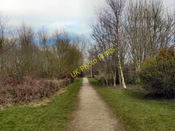 Photo 6"x4" Davyhulme Millennium Nature Reserve Urmston c2011