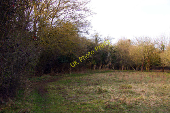 Photo 6"x4" Footpath in Lashford Lane Fen Bessels Leigh c2011