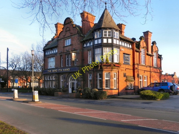 Photo 6"x4" The Bird I'Th Hand Urmston c2011