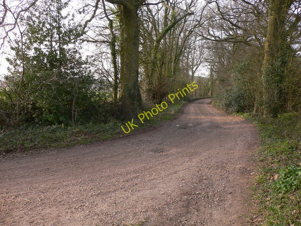 Photo 6"x4" The track to Thorn's Farm Well\/SU7646 c2011