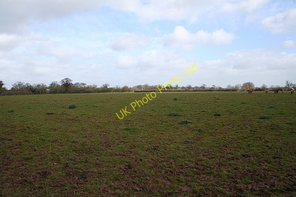 Photo 6"x4" Fields near Werth Farm Chaceley c2008