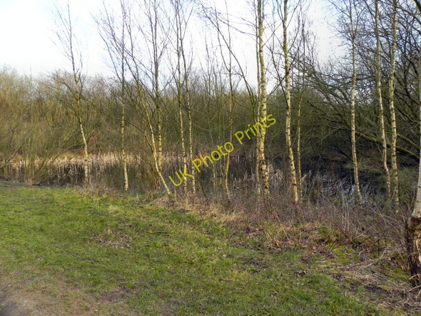 Photo 6"x4" Davyhulme Millennium Nature Reserve Urmston c2011